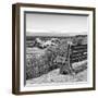 Awesome South Africa Collection Square - Lonely Bench B&W-Philippe Hugonnard-Framed Photographic Print