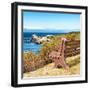 Awesome South Africa Collection Square - Lonely Bench II-Philippe Hugonnard-Framed Photographic Print