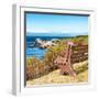 Awesome South Africa Collection Square - Lonely Bench II-Philippe Hugonnard-Framed Photographic Print