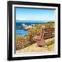 Awesome South Africa Collection Square - Lonely Bench II-Philippe Hugonnard-Framed Photographic Print