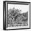 Awesome South Africa Collection Square - Look Giraffes B&W-Philippe Hugonnard-Framed Photographic Print