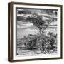 Awesome South Africa Collection Square - Natural African Landscape B&W-Philippe Hugonnard-Framed Photographic Print