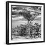 Awesome South Africa Collection Square - Natural African Landscape B&W-Philippe Hugonnard-Framed Photographic Print