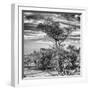 Awesome South Africa Collection Square - Natural African Landscape B&W-Philippe Hugonnard-Framed Photographic Print