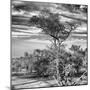 Awesome South Africa Collection Square - Natural African Landscape B&W-Philippe Hugonnard-Mounted Photographic Print