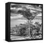 Awesome South Africa Collection Square - Natural African Landscape B&W-Philippe Hugonnard-Framed Stretched Canvas