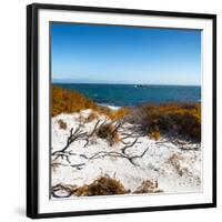 Awesome South Africa Collection Square - Natural Beach II-Philippe Hugonnard-Framed Premium Photographic Print