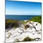 Awesome South Africa Collection Square - Natural Beach-Philippe Hugonnard-Mounted Photographic Print