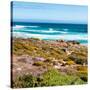 Awesome South Africa Collection Square - Natural Beauty - Cape Town-Philippe Hugonnard-Stretched Canvas