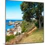 Awesome South Africa Collection Square - Natural Boulders Beach-Philippe Hugonnard-Mounted Photographic Print