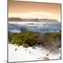 Awesome South Africa Collection Square - Natural Landscape at Sunset-Philippe Hugonnard-Mounted Photographic Print