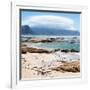 Awesome South Africa Collection Square - Ocean view from Boulders Beach-Philippe Hugonnard-Framed Photographic Print