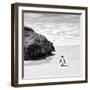 Awesome South Africa Collection Square - Penguin Alone on the Beach B&W-Philippe Hugonnard-Framed Photographic Print