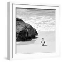 Awesome South Africa Collection Square - Penguin Alone on the Beach B&W-Philippe Hugonnard-Framed Photographic Print