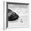 Awesome South Africa Collection Square - Penguin Alone on the Beach B&W-Philippe Hugonnard-Framed Photographic Print