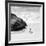 Awesome South Africa Collection Square - Penguin Alone on the Beach B&W-Philippe Hugonnard-Framed Photographic Print