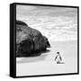 Awesome South Africa Collection Square - Penguin Alone on the Beach B&W-Philippe Hugonnard-Framed Stretched Canvas