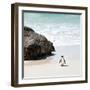 Awesome South Africa Collection Square - Penguin Alone on the Beach-Philippe Hugonnard-Framed Photographic Print