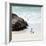 Awesome South Africa Collection Square - Penguin Alone on the Beach-Philippe Hugonnard-Framed Photographic Print