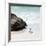 Awesome South Africa Collection Square - Penguin Alone on the Beach-Philippe Hugonnard-Framed Photographic Print