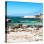 Awesome South Africa Collection Square - Penguin Colony on Beach-Philippe Hugonnard-Stretched Canvas