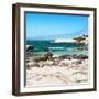 Awesome South Africa Collection Square - Penguin Colony on Beach-Philippe Hugonnard-Framed Photographic Print