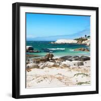 Awesome South Africa Collection Square - Penguin Colony on Beach-Philippe Hugonnard-Framed Photographic Print