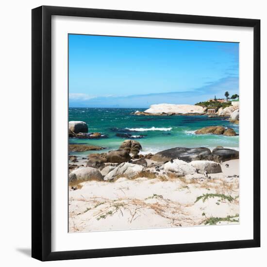 Awesome South Africa Collection Square - Penguin Colony on Beach-Philippe Hugonnard-Framed Photographic Print