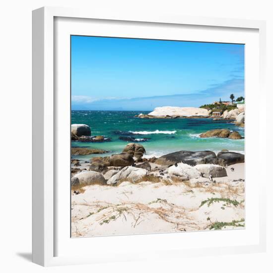 Awesome South Africa Collection Square - Penguin Colony on Beach-Philippe Hugonnard-Framed Photographic Print