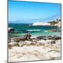 Awesome South Africa Collection Square - Penguin Colony on Beach-Philippe Hugonnard-Mounted Photographic Print