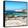 Awesome South Africa Collection Square - Penguin Colony on Beach-Philippe Hugonnard-Framed Stretched Canvas