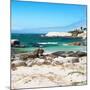 Awesome South Africa Collection Square - Penguin Colony on Beach-Philippe Hugonnard-Mounted Photographic Print