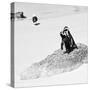 Awesome South Africa Collection Square - Penguin Lovers B&W-Philippe Hugonnard-Stretched Canvas