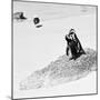 Awesome South Africa Collection Square - Penguin Lovers B&W-Philippe Hugonnard-Mounted Photographic Print