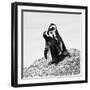 Awesome South Africa Collection Square - Penguin Lovers II B&W-Philippe Hugonnard-Framed Photographic Print