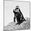 Awesome South Africa Collection Square - Penguin Lovers II B&W-Philippe Hugonnard-Mounted Photographic Print