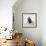 Awesome South Africa Collection Square - Penguin Lovers IV-Philippe Hugonnard-Framed Photographic Print displayed on a wall