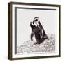 Awesome South Africa Collection Square - Penguin Lovers IV-Philippe Hugonnard-Framed Photographic Print