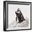 Awesome South Africa Collection Square - Penguin Lovers IV-Philippe Hugonnard-Framed Photographic Print