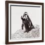 Awesome South Africa Collection Square - Penguin Lovers IV-Philippe Hugonnard-Framed Photographic Print