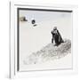 Awesome South Africa Collection Square - Penguin Lovers-Philippe Hugonnard-Framed Photographic Print