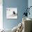 Awesome South Africa Collection Square - Penguin Lovers-Philippe Hugonnard-Photographic Print displayed on a wall