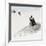 Awesome South Africa Collection Square - Penguin Lovers-Philippe Hugonnard-Framed Photographic Print