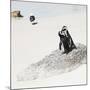 Awesome South Africa Collection Square - Penguin Lovers-Philippe Hugonnard-Mounted Photographic Print