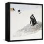 Awesome South Africa Collection Square - Penguin Lovers-Philippe Hugonnard-Framed Stretched Canvas