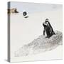 Awesome South Africa Collection Square - Penguin Lovers-Philippe Hugonnard-Stretched Canvas