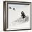 Awesome South Africa Collection Square - Penguin Lovers-Philippe Hugonnard-Framed Photographic Print