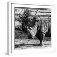 Awesome South Africa Collection Square - Portrait of a Rhinoceros-Philippe Hugonnard-Framed Photographic Print