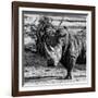 Awesome South Africa Collection Square - Portrait of a Rhinoceros-Philippe Hugonnard-Framed Photographic Print