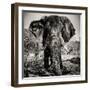 Awesome South Africa Collection Square - Portrait of African Elephant Sepia-Philippe Hugonnard-Framed Photographic Print